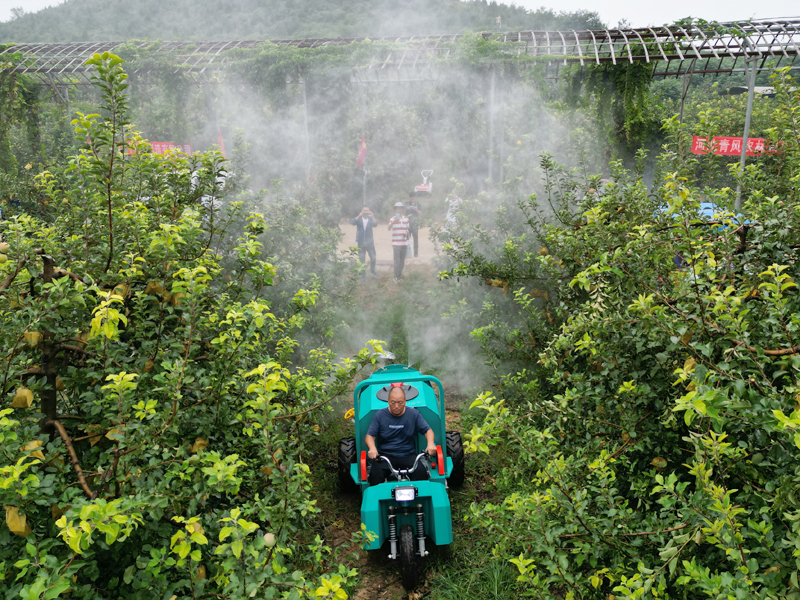 自走式风送果园打药机果树植保作业